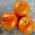 Big Hill Tomato